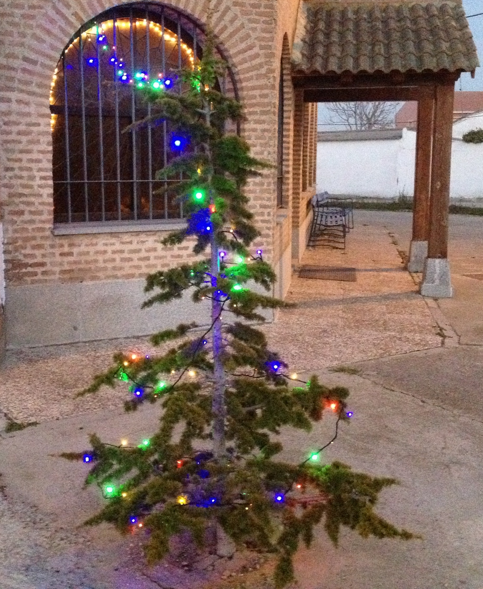 Se ilumina la Navidad en Vinaderos